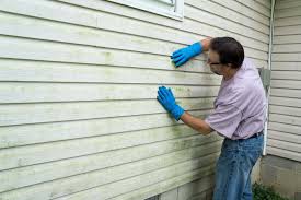 Best Wood Siding Installation  in Gibson, AR